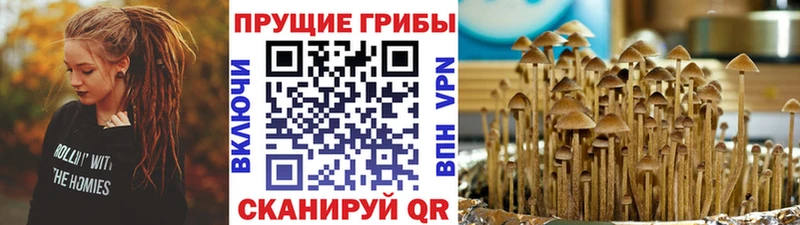 купить закладку  Шадринск  Галлюциногенные грибы мицелий 