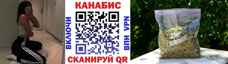 Шишки марихуана сатива  Шадринск 